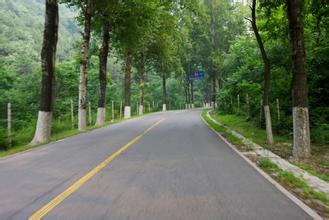 欄桿集鎮至環湖大道(欄濱路)進入路面施工階段